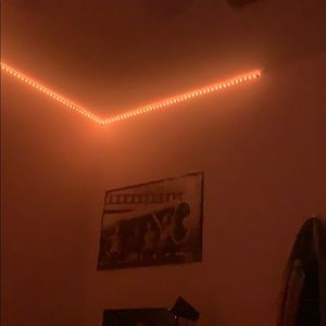 Meet your Posher, Robbie